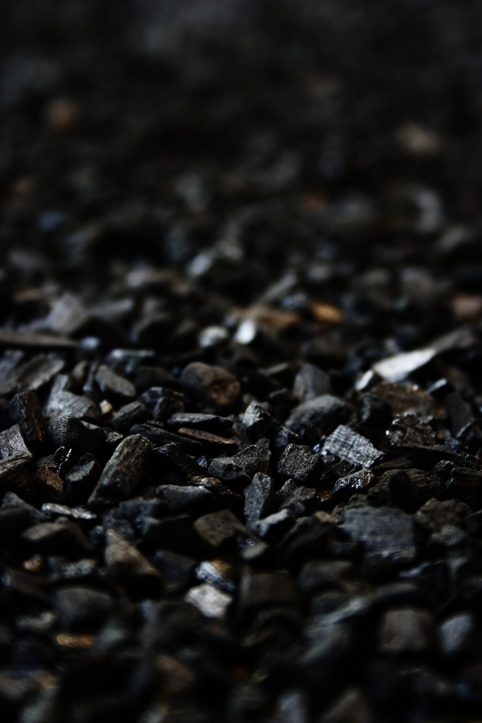 A Greener Future Begins with a Shift to Coal Alternatives